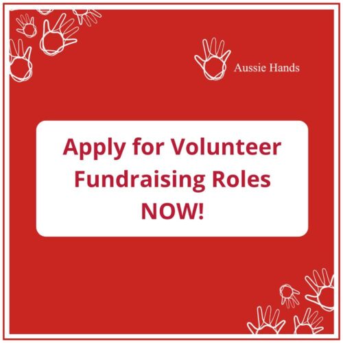 fundraising volunteer